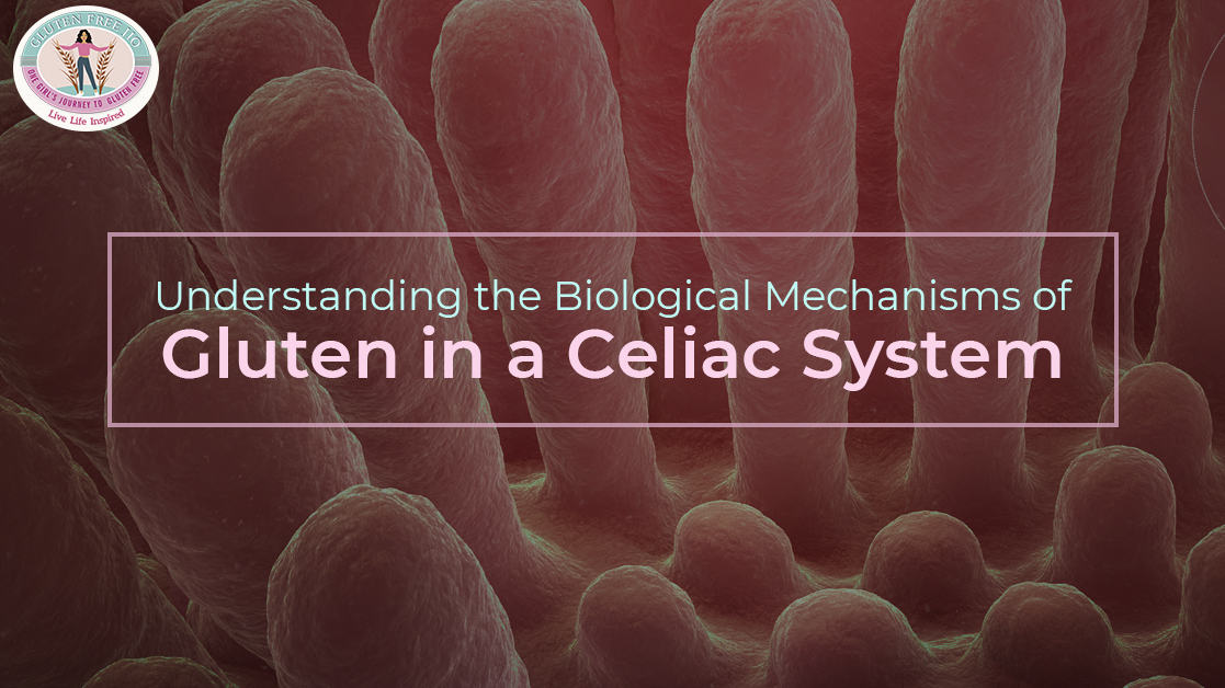 Understanding-the-Biological-Mechanisms-of-Gluten-in-a-Celiac-System