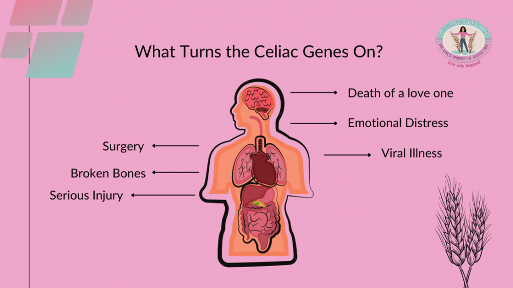 what turns the celiac genes on